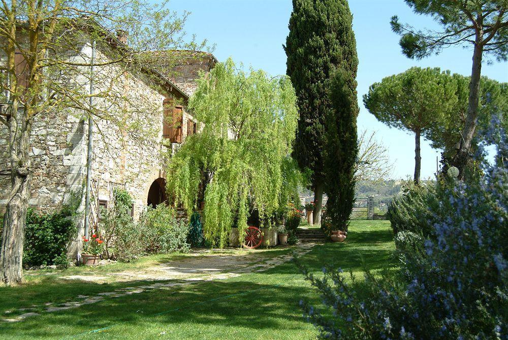 B&B Il Molinello Asciano Exterior photo