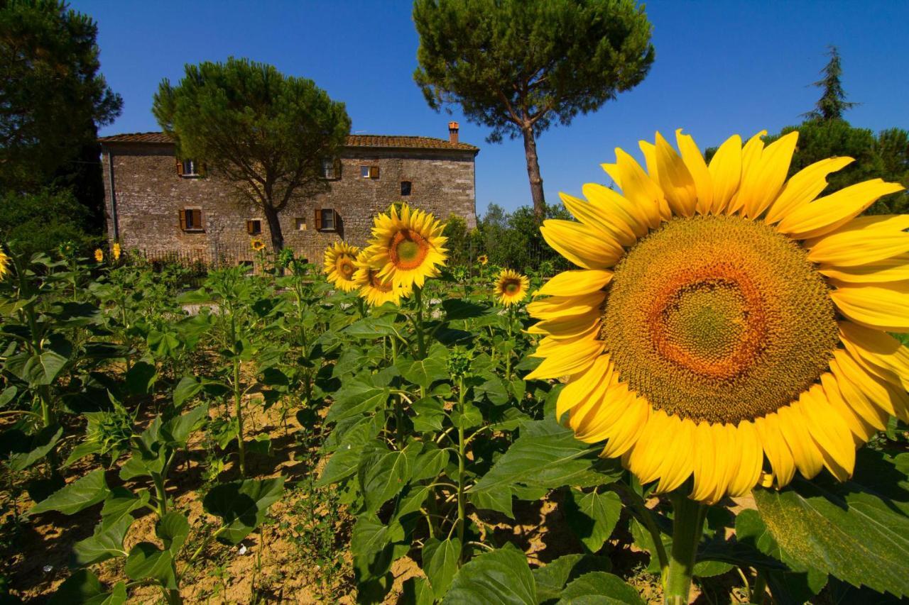 B&B Il Molinello Asciano Exterior photo